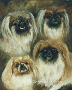dogs