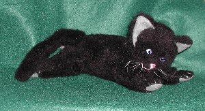black cat