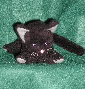 black cat