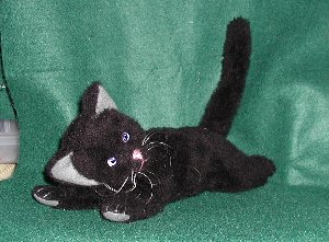 black cat