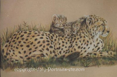 cheetah