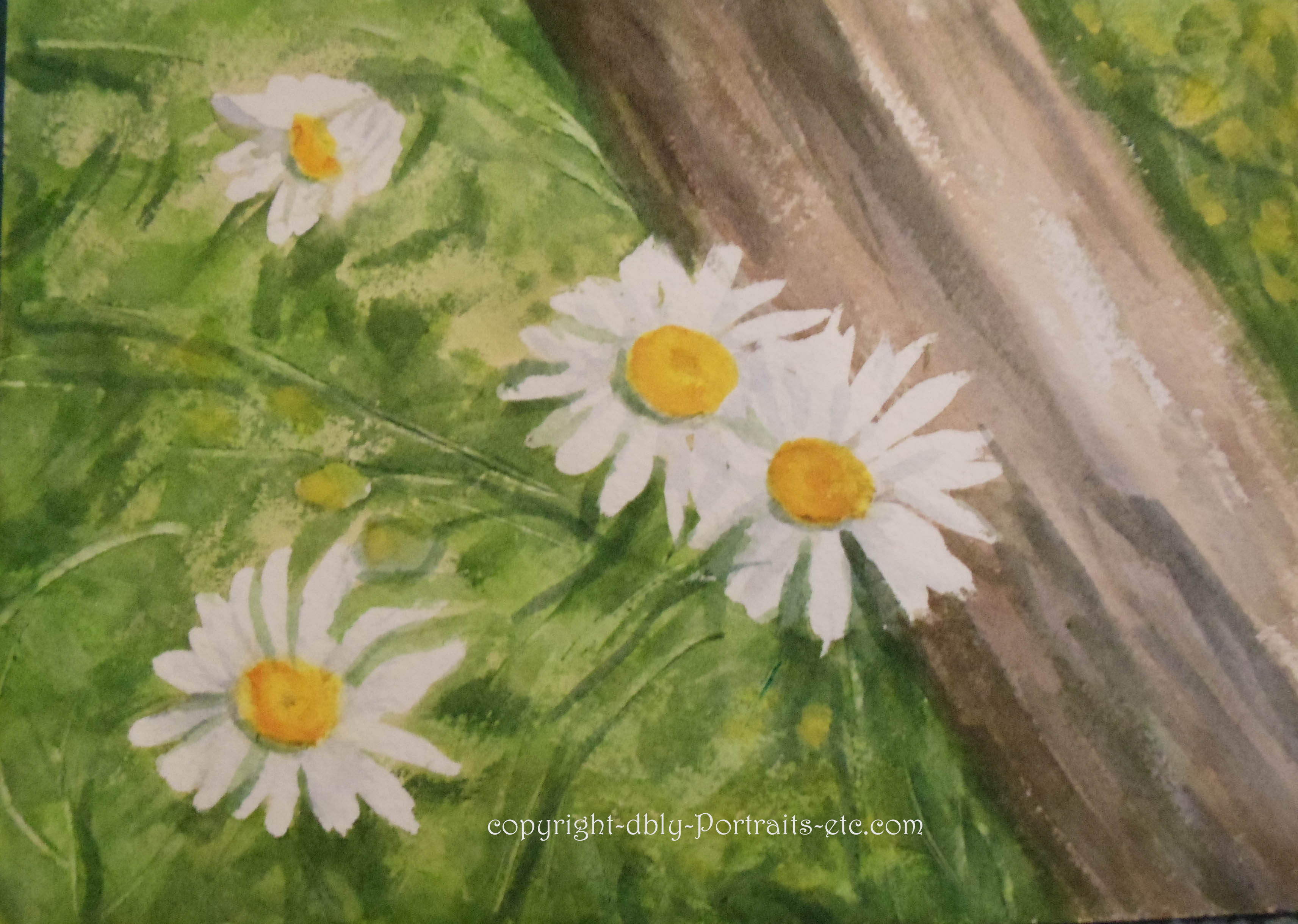 daisies2