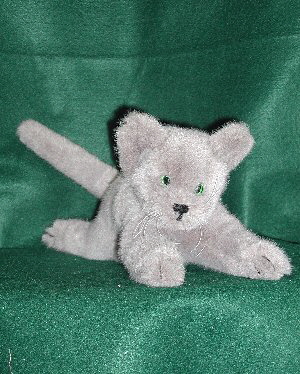 cat 1
