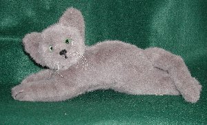 cat 1