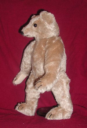 bear 1903 repro 1