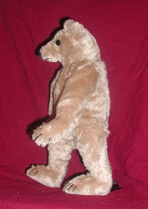 bear 1903 repro 1