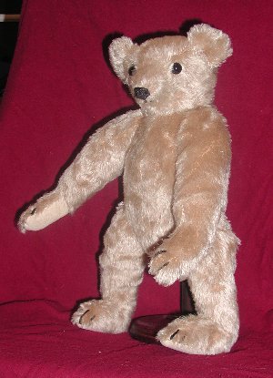 bear 1903 repro 1