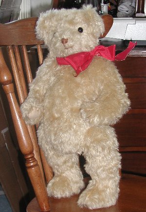 bear 1