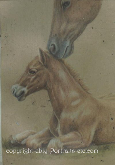 newborn