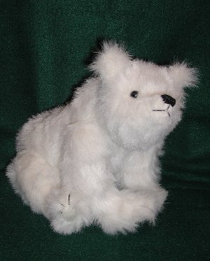 polar