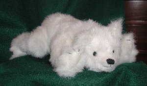 polar