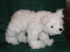 polar