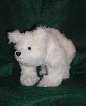 polar