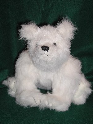 polar