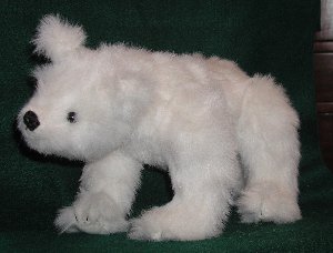 polar